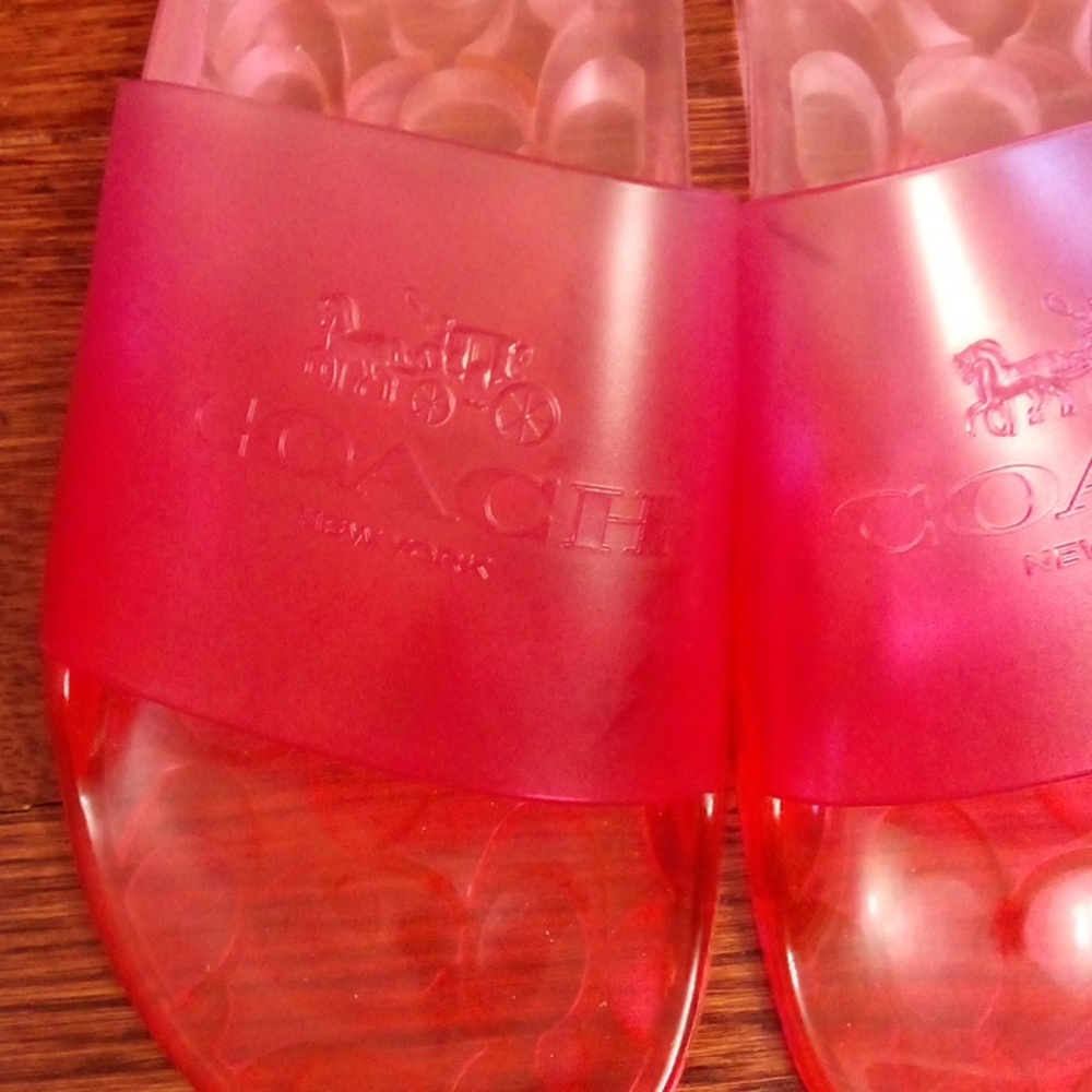 Coach transparent slides - Picture 5 of 7